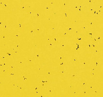 Линолеум Forbo Sphera Energetic 50201 yellow фото 1 | FLOORDEALER